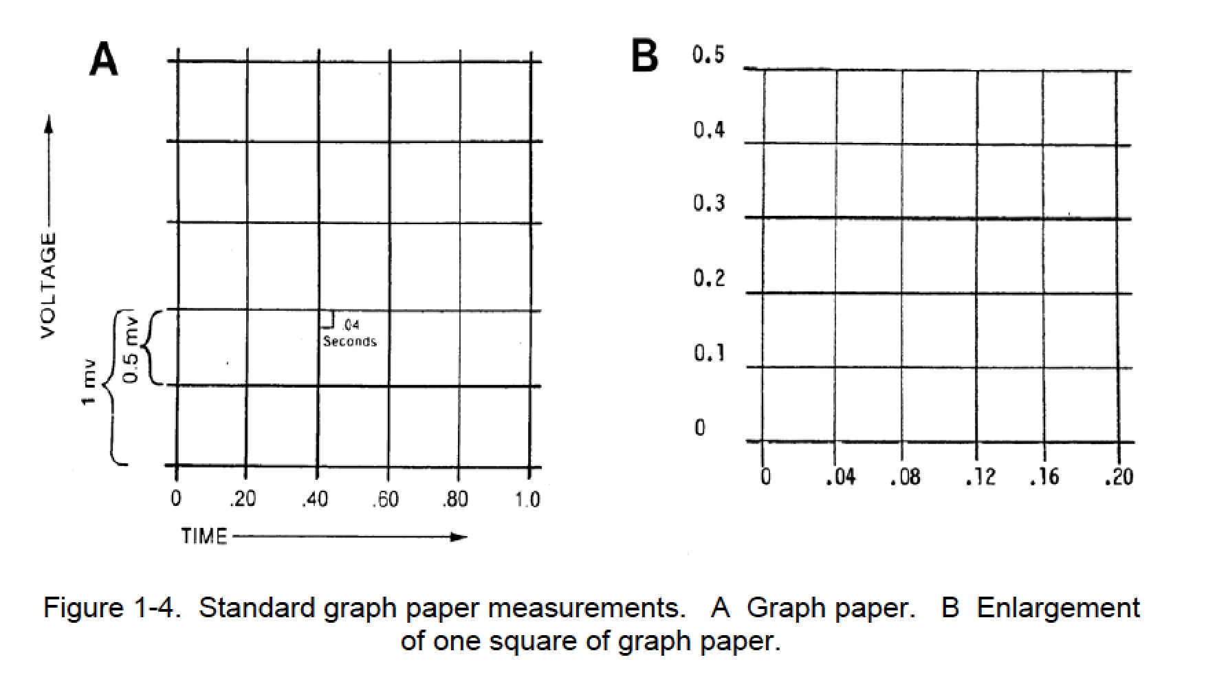 1 05 GRAPHIC DISPLAY OF ELECTROCARDIOGRAM B Cardiac Rhythm 