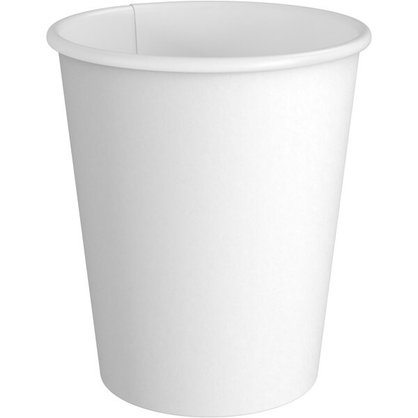 10oz Compostable PE Lined Paper Double Wall Hot Cups 1 000 Carton