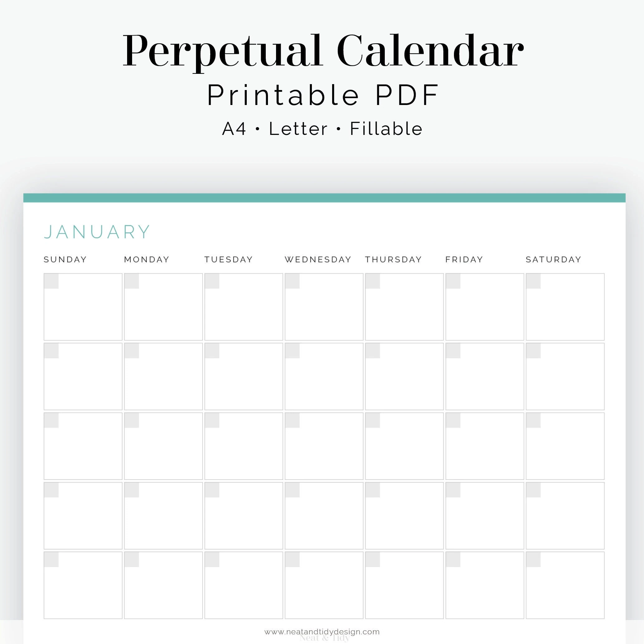 12 Month Perpetual Calendar Fillable Printable PDF Business 