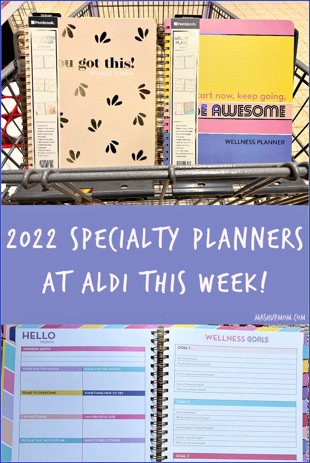 2022 Planners At ALDI This Week 