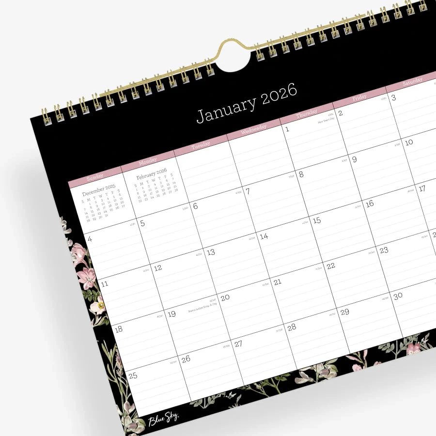 2025 Planners Blue Sky