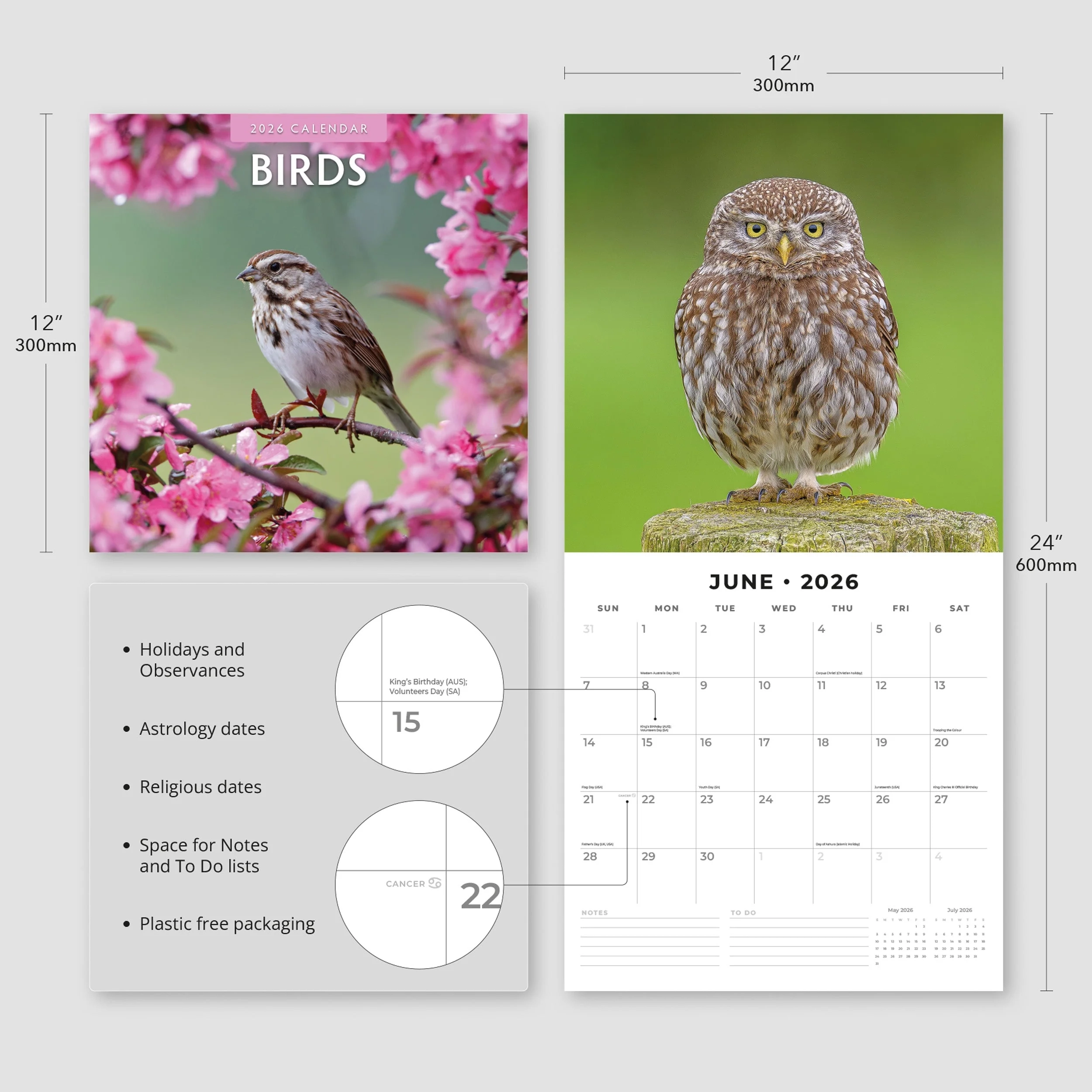 2026 Birds Square Wall Calendar