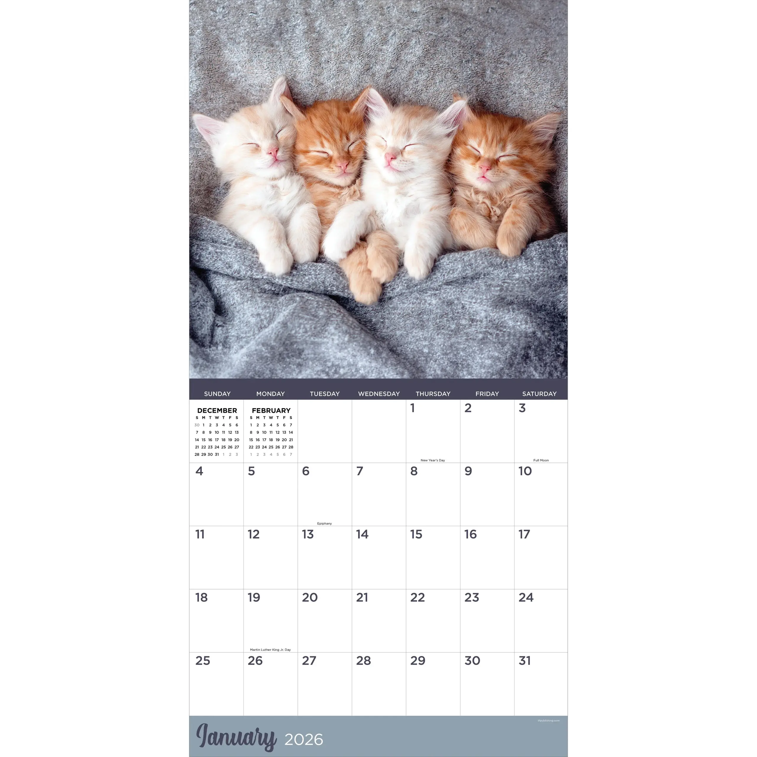 Printable Calendar 2026 Kitten December