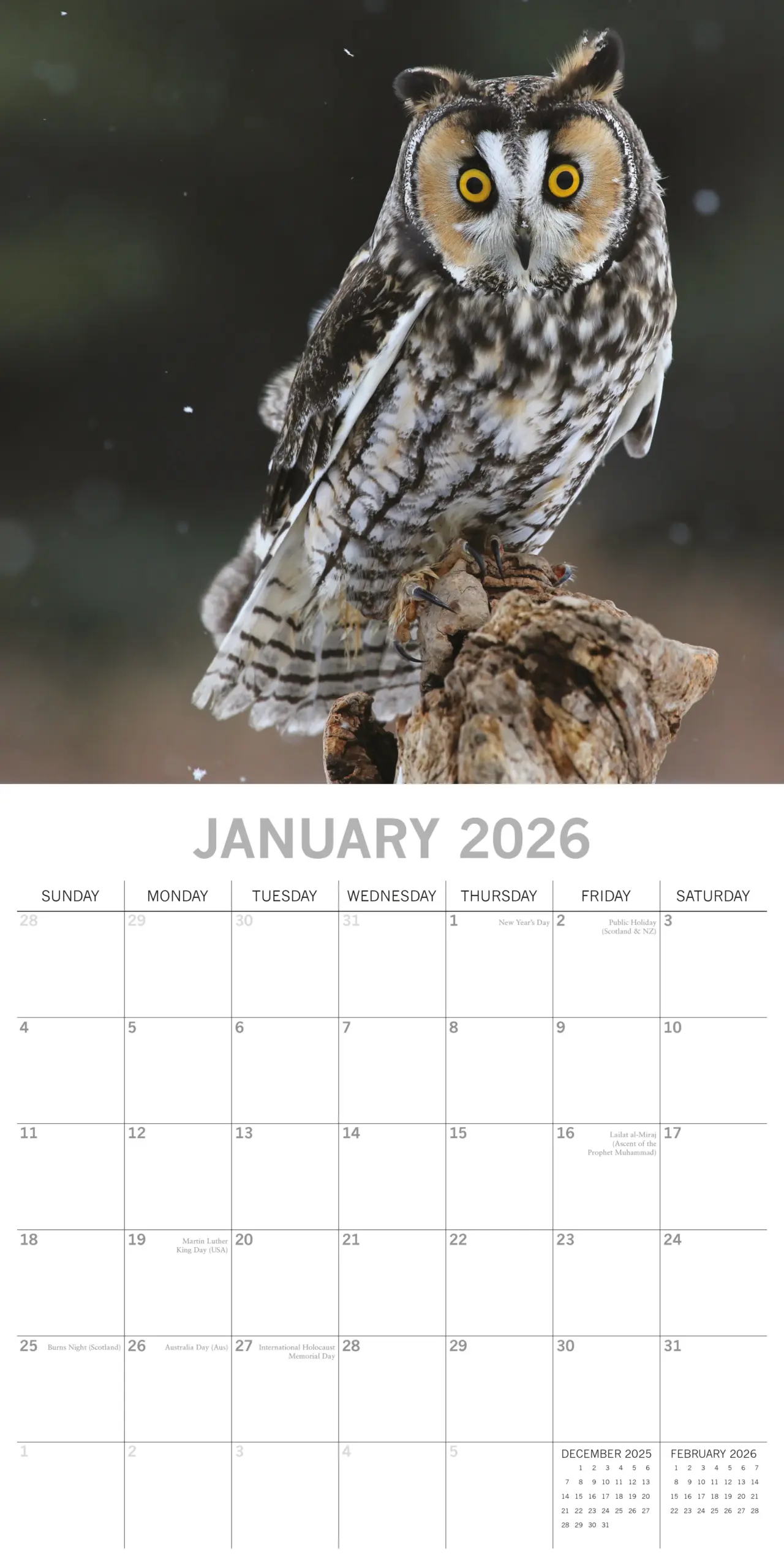 November 2026 Calendar Printable Owl