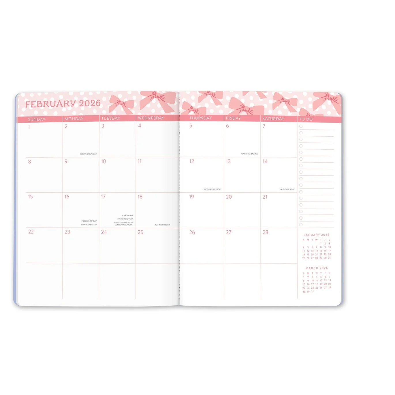 2026 Sweet Bow Just Right 17 Month Monthly Diary Planner