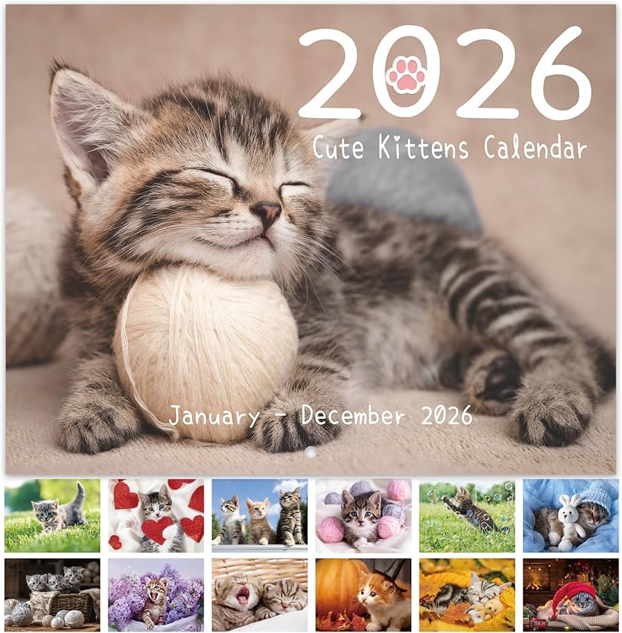 2026 Wall Calendar 2026 Cute Kittens Calendar From January 2026 