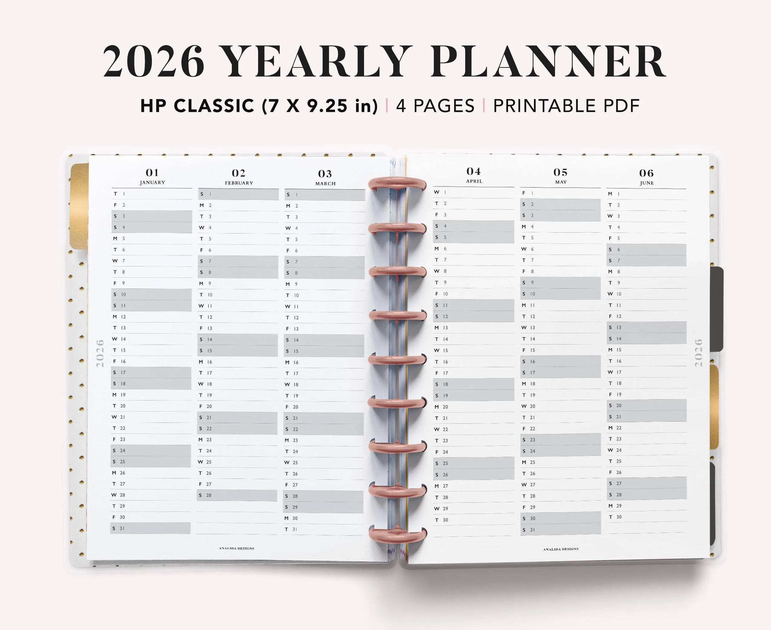 2026 Year At a glance Calendar Happy Planner Inserts PDF 