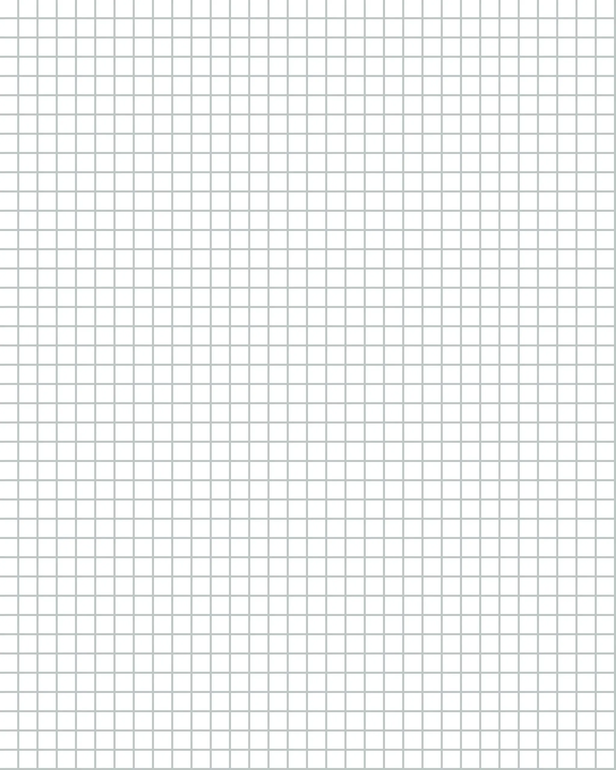 8x10 Graph Paper 25 Inch Digital File Etsy Australia