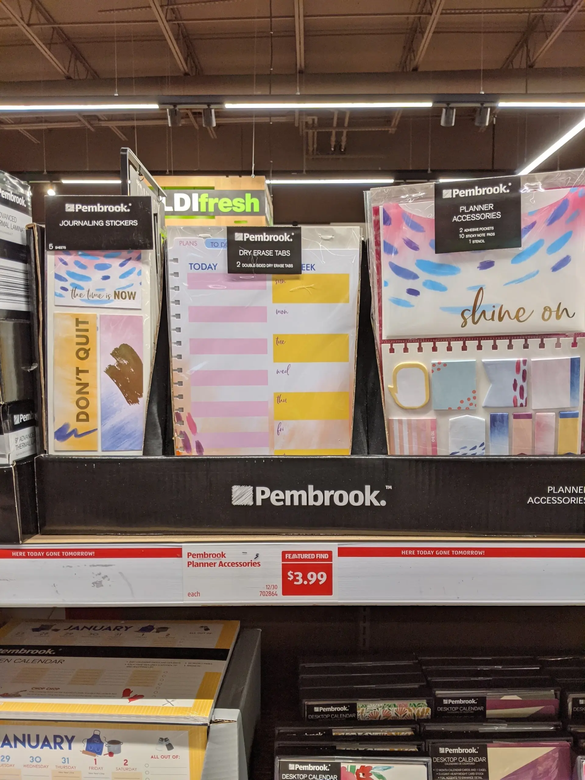 A New Collection Of Planners At Aldi Elizabeth Silver Surface 