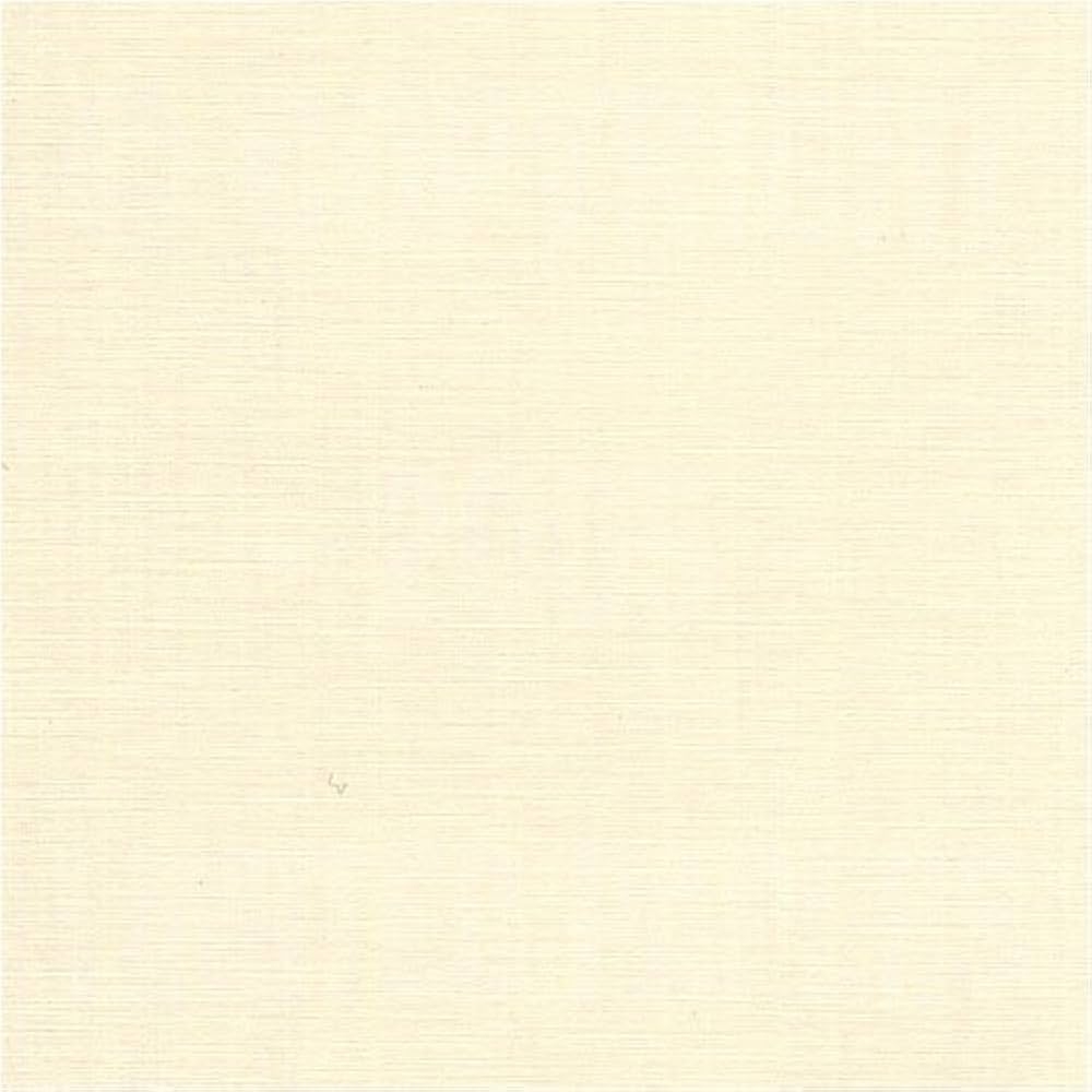 Amazon Classic Linen Recycled Natural White 24 8 5 x11 500 