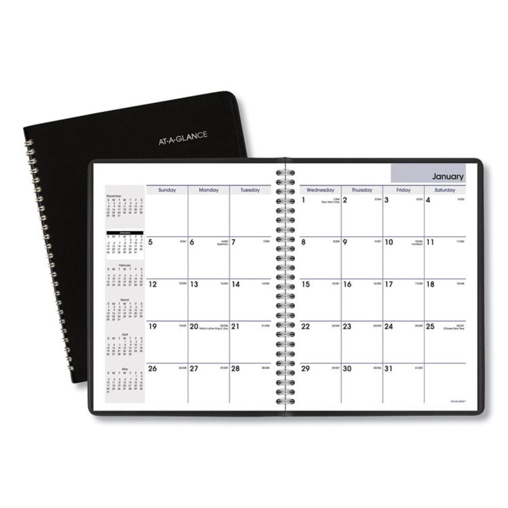 AT A GLANCE DayMinder Monthly Planner With Notes Column 
