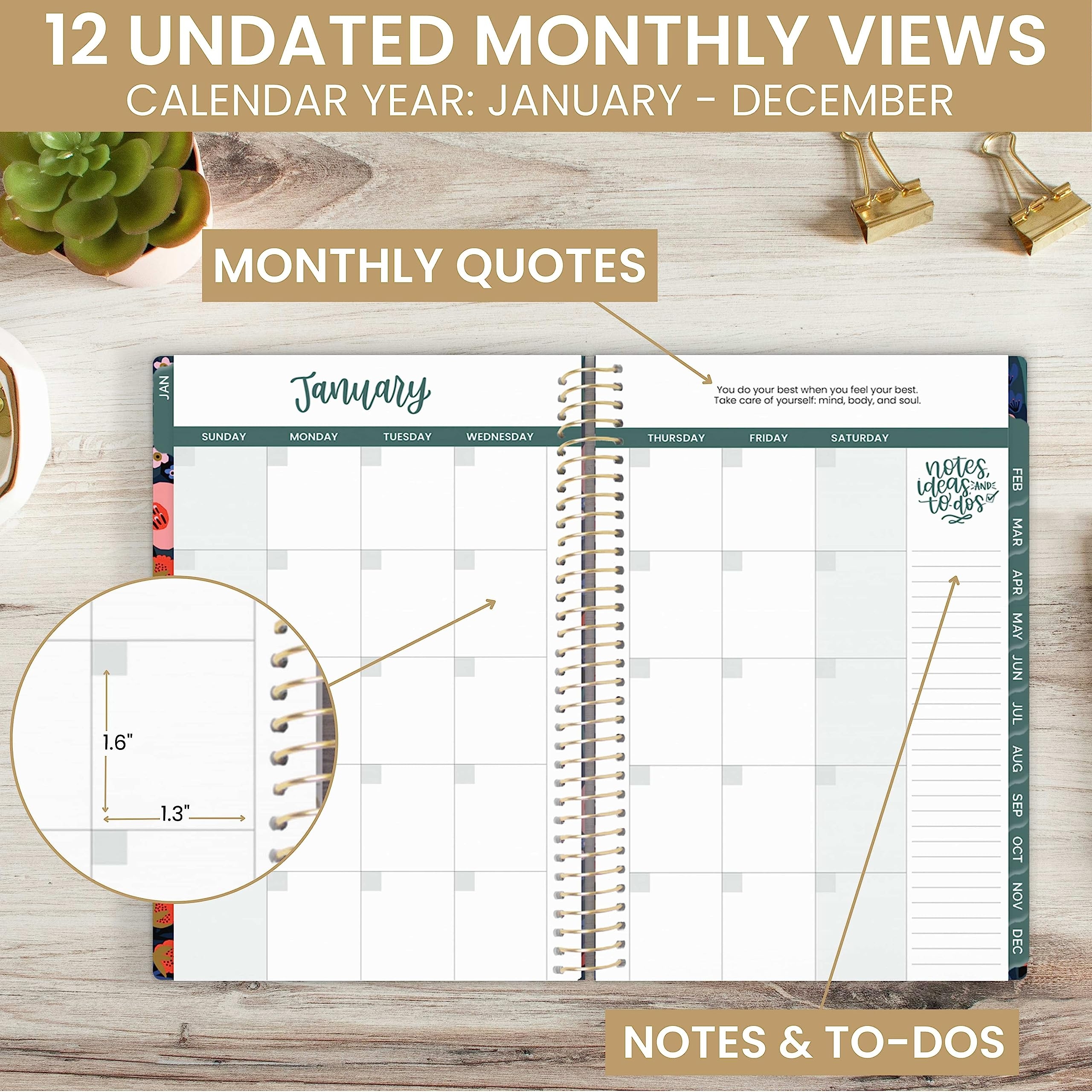 Bloom Daily Planners Undated Calendar Year Planner Passion Goal 