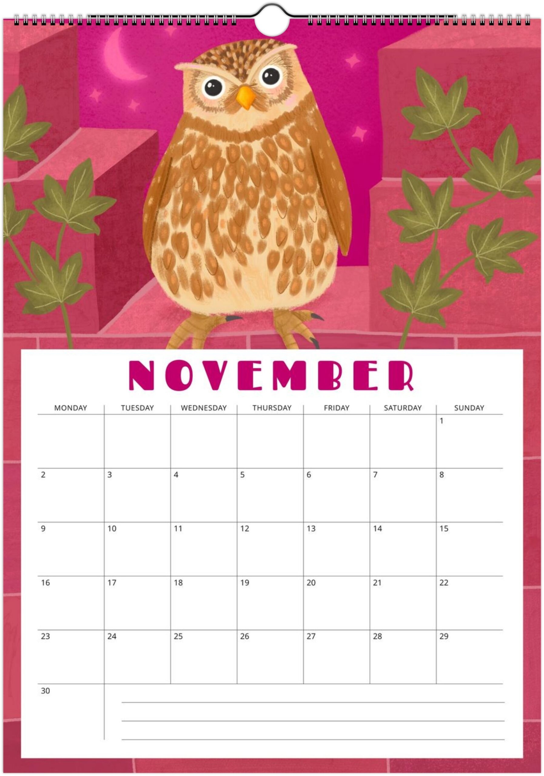 Calender 2026 Birds Wall Calendar For Bird Lovers