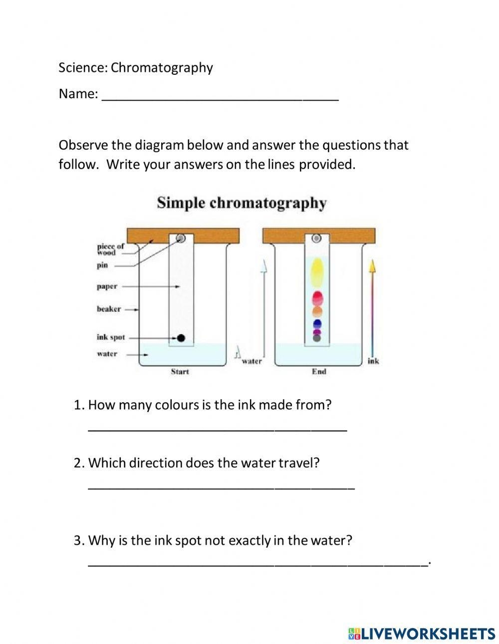 Chromatography Free Interactive Worksheets 2052398