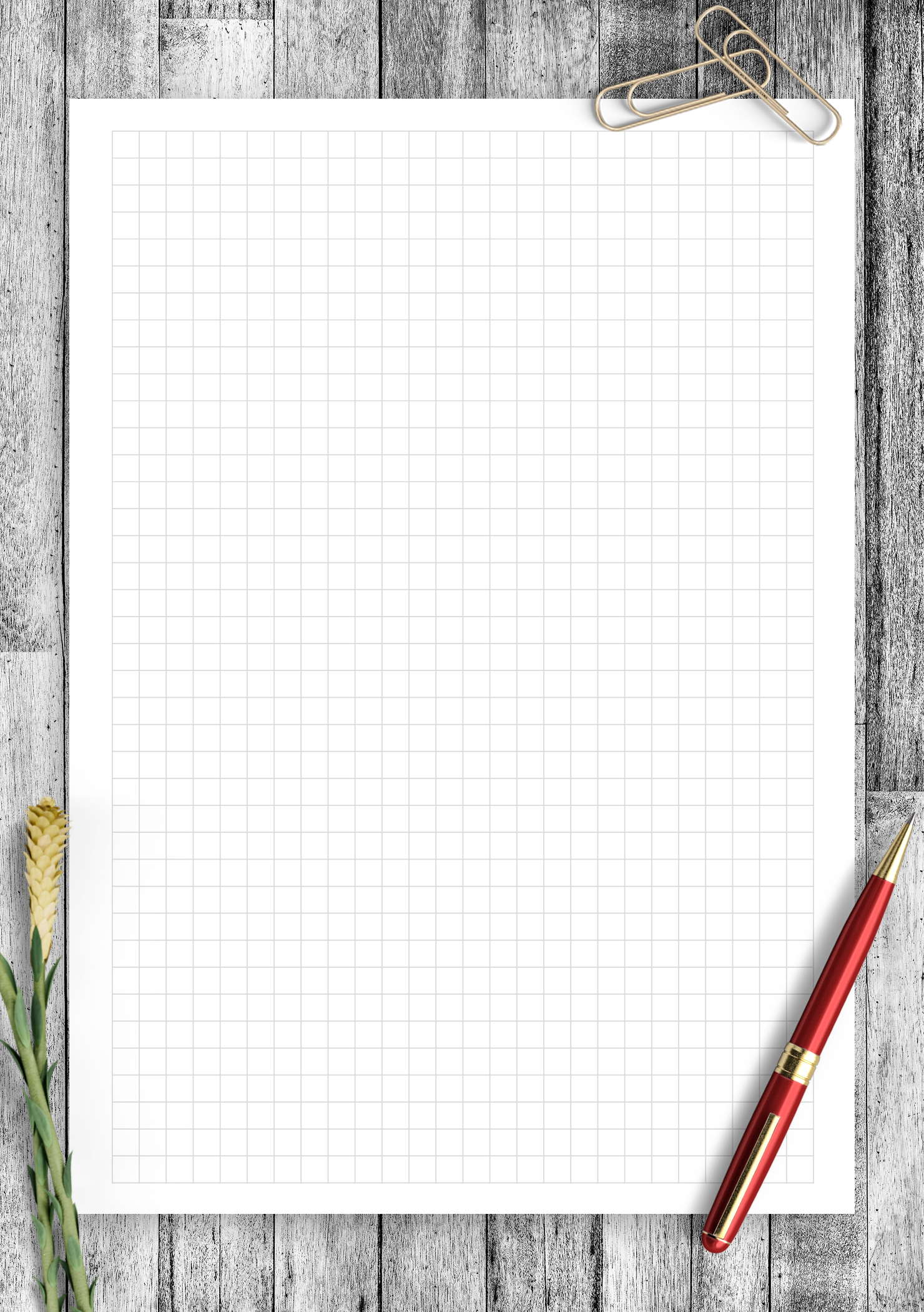 5 Square Graph Paper