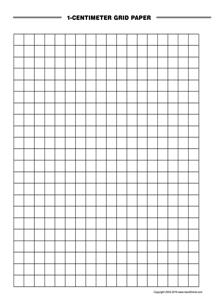 Editable Graph Paper Fill Online Printable Fillable Blank 
