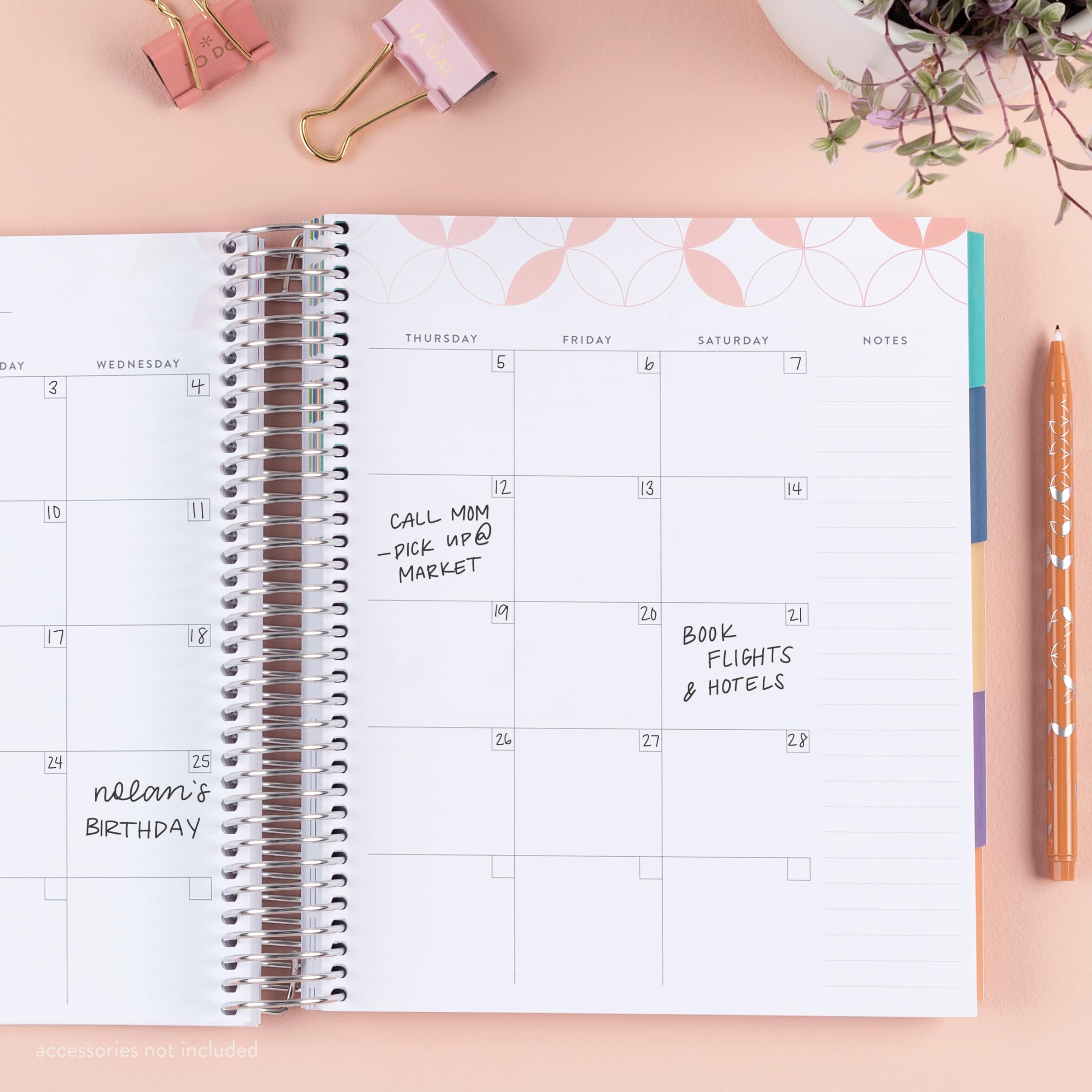 Erin Condren Amazon Exclusive Coiled Undated LifePlanner Weekly 