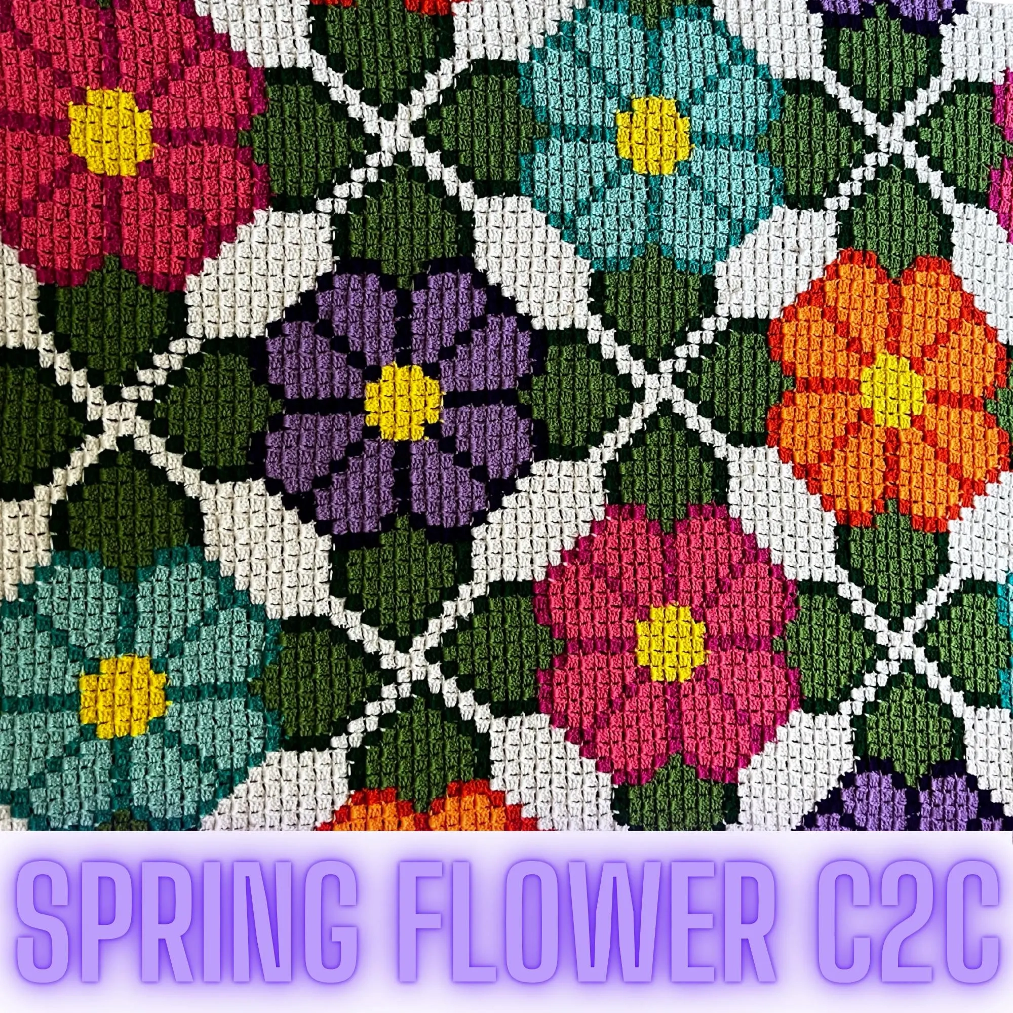 Flower Graph Etsy