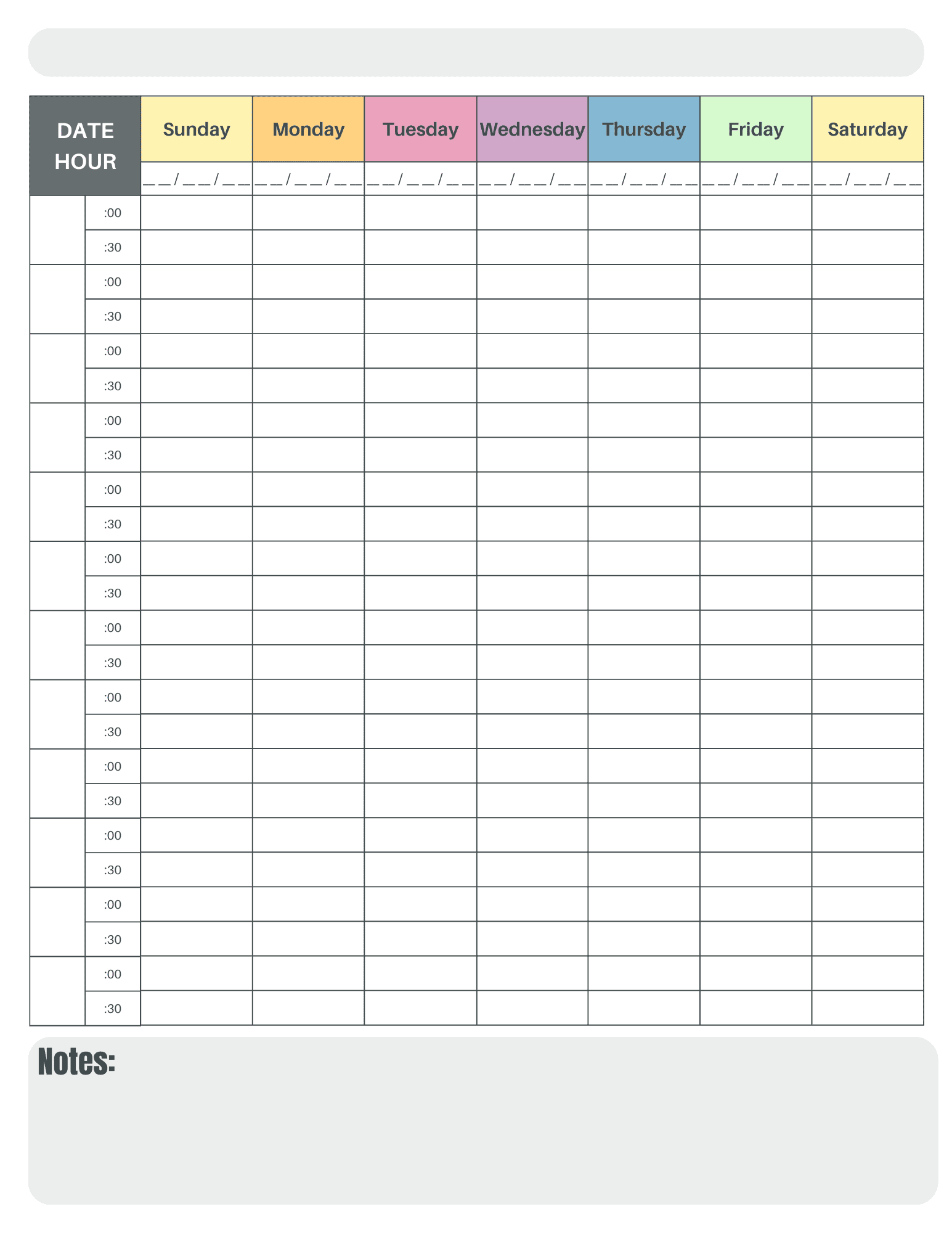 FREE 30 Minute Appointment Planner PDF