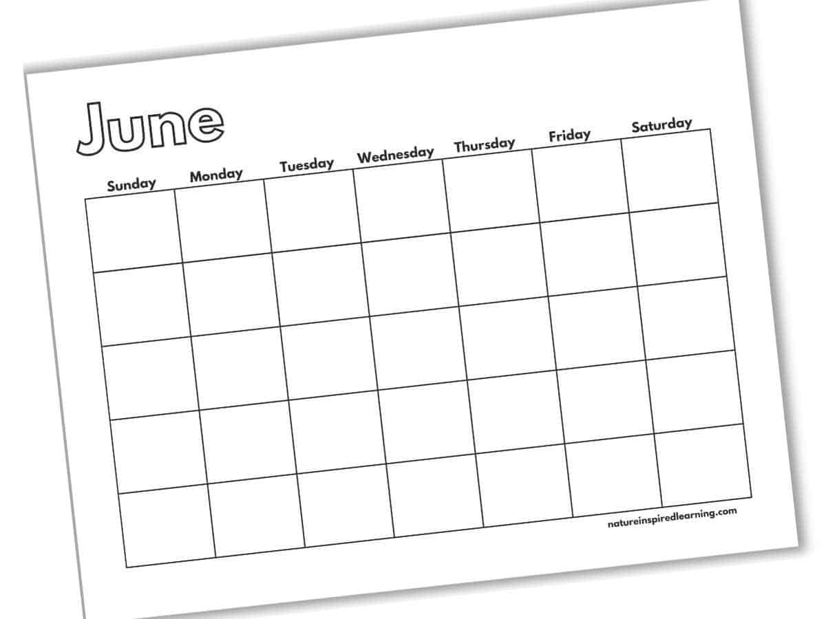 June Calendar Blank Template Printable