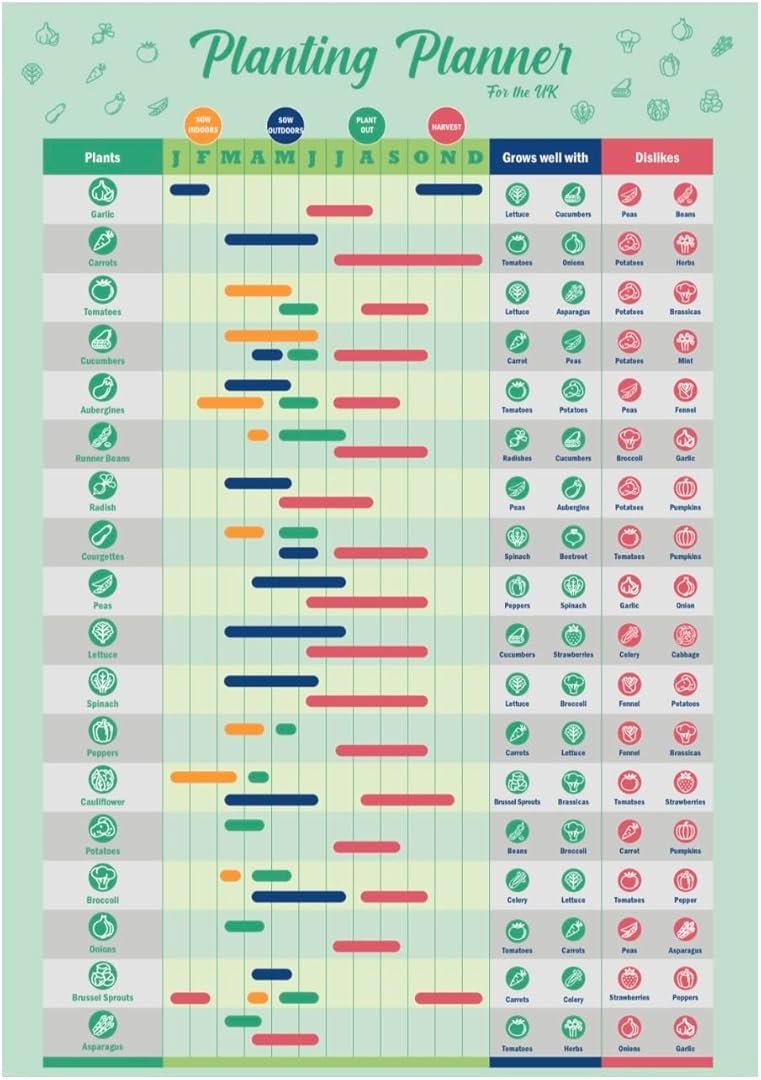 Gardening Vegetable Growing Planner Poster UK Laminated Garden 