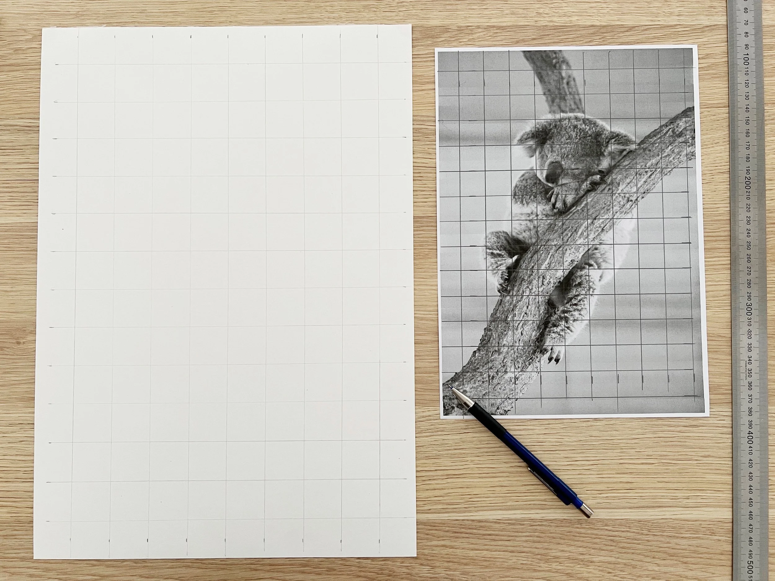 How To Transfer Sketches Using The Grid Method A Step by Step 