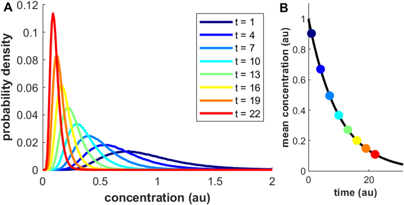 Mechanisms For Log Normal Concentration Distributions In The 