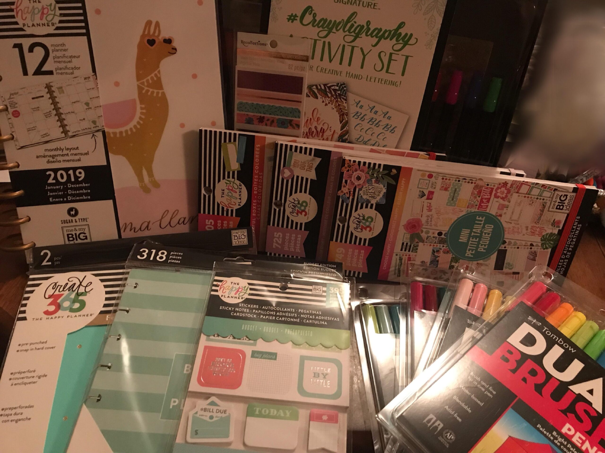 Michaels Haul Happy Planner Has Dotted Paper Inserts R 