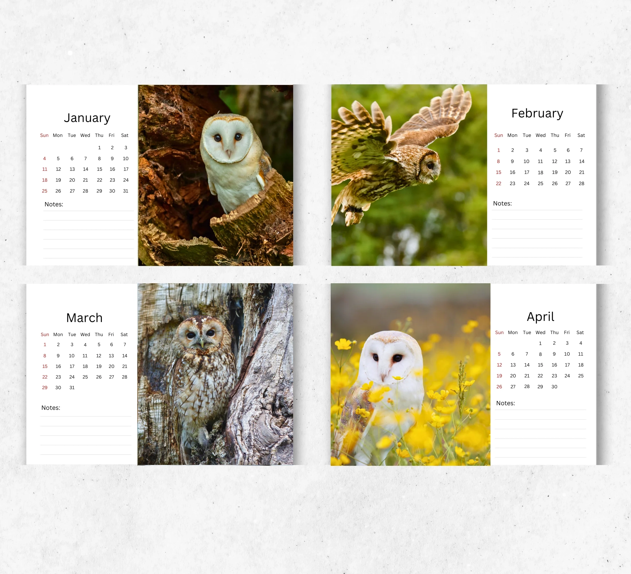 Owl Calendar 2026 2027 Standing Flip Desktop Calendar With Thick 