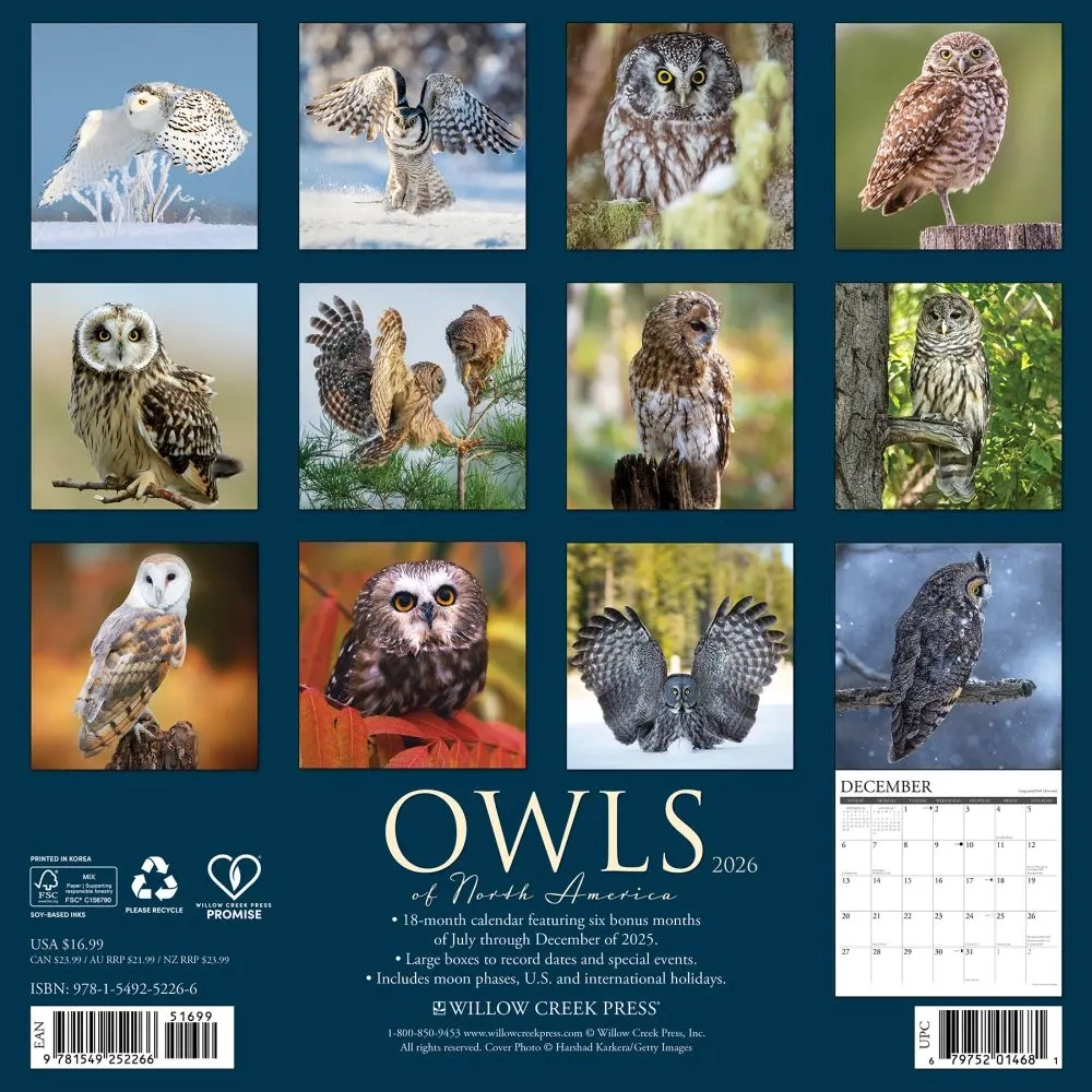 Owls 2026 Wall Calendar Calendars