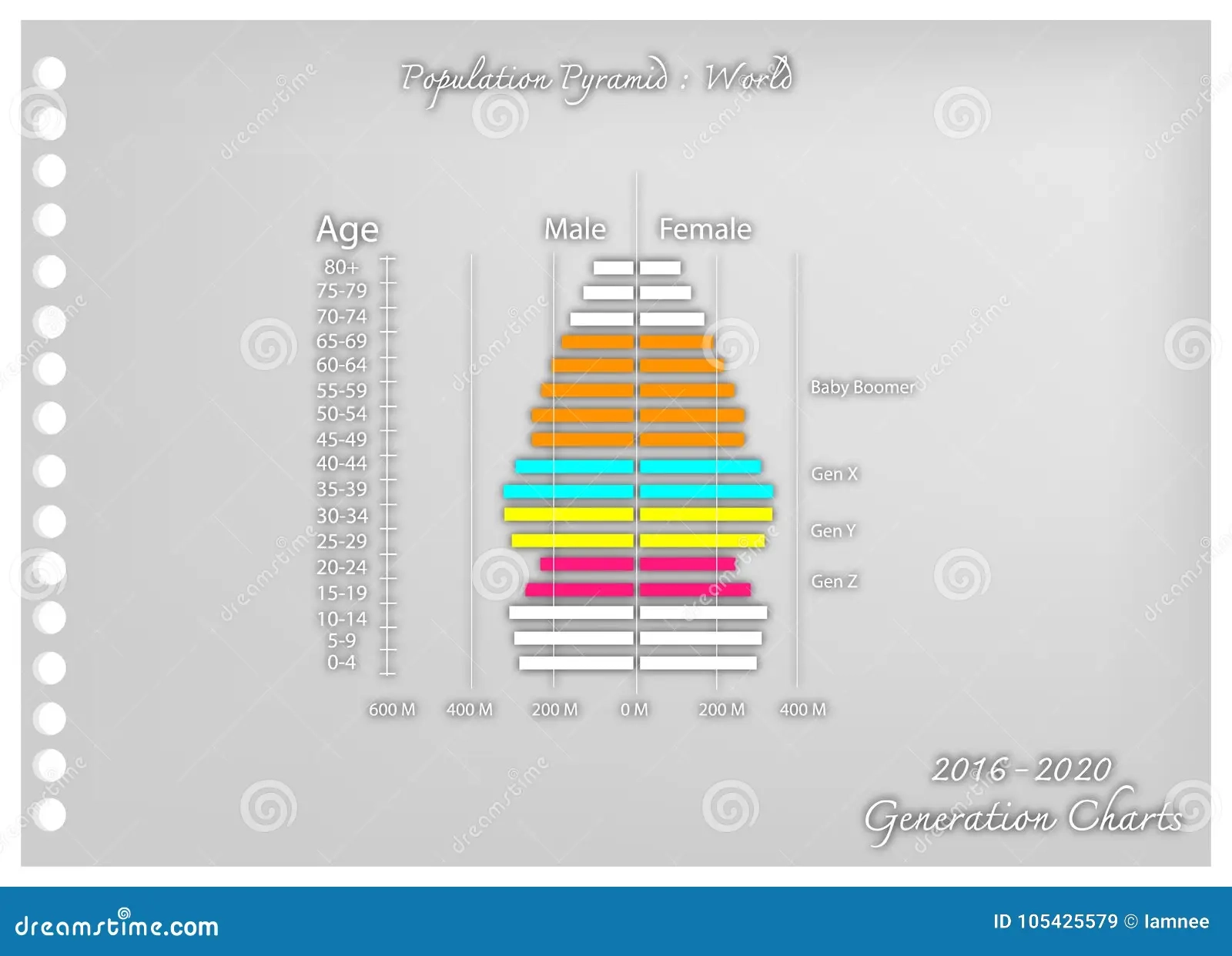 Population Pyramid Graph Paper