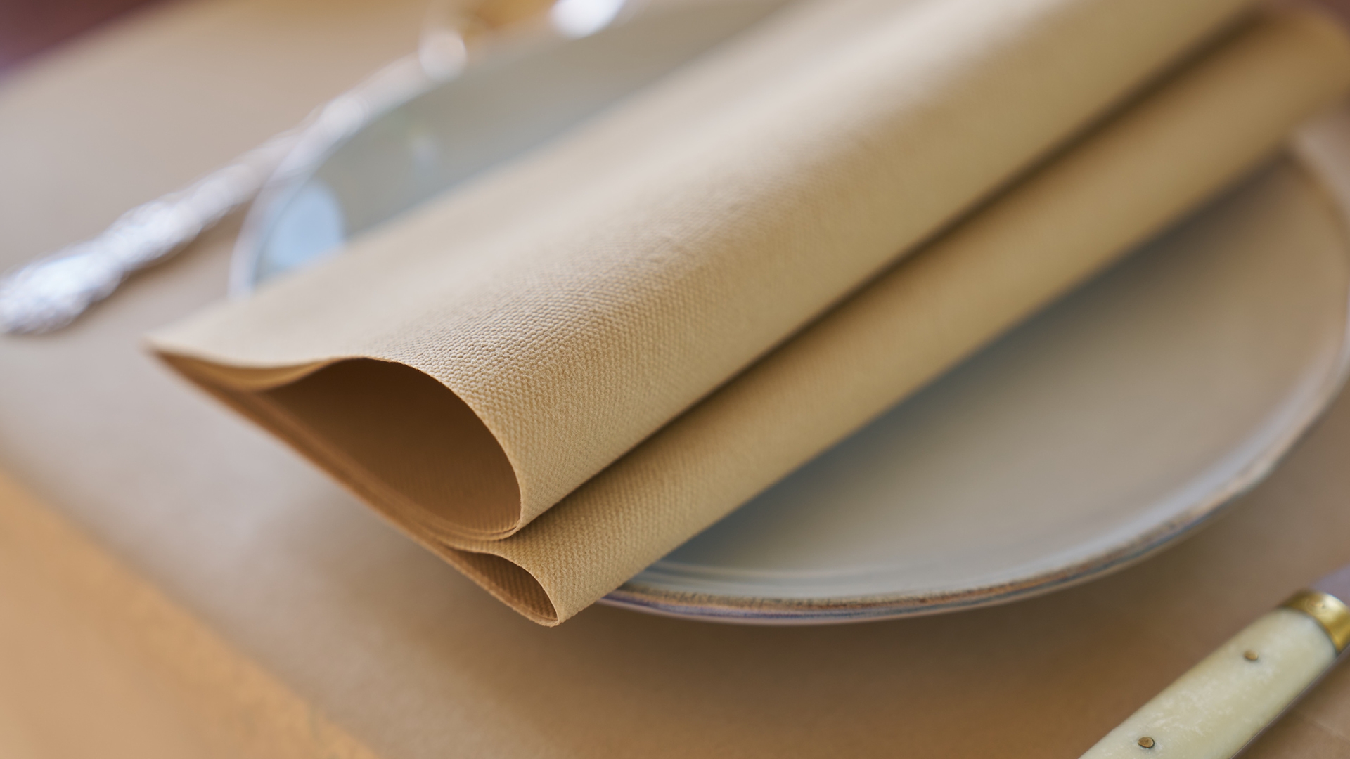 Paper Linen Napkins
