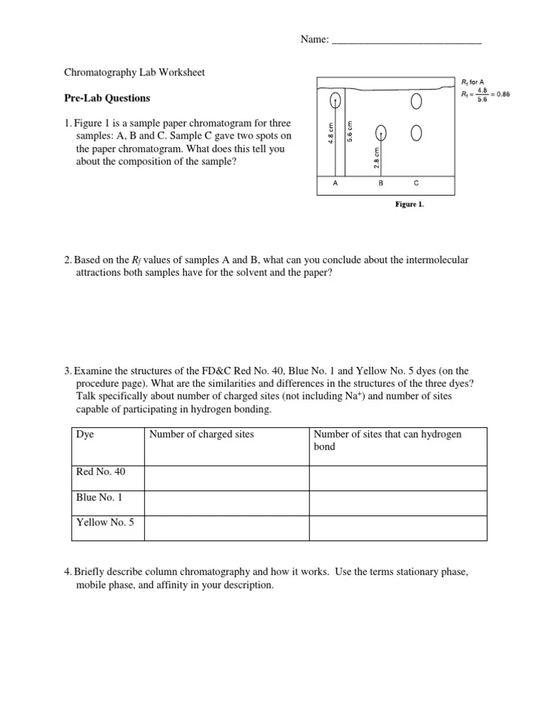 Paper Chromatography Lab Worksheet PDF Chromatography Solvent