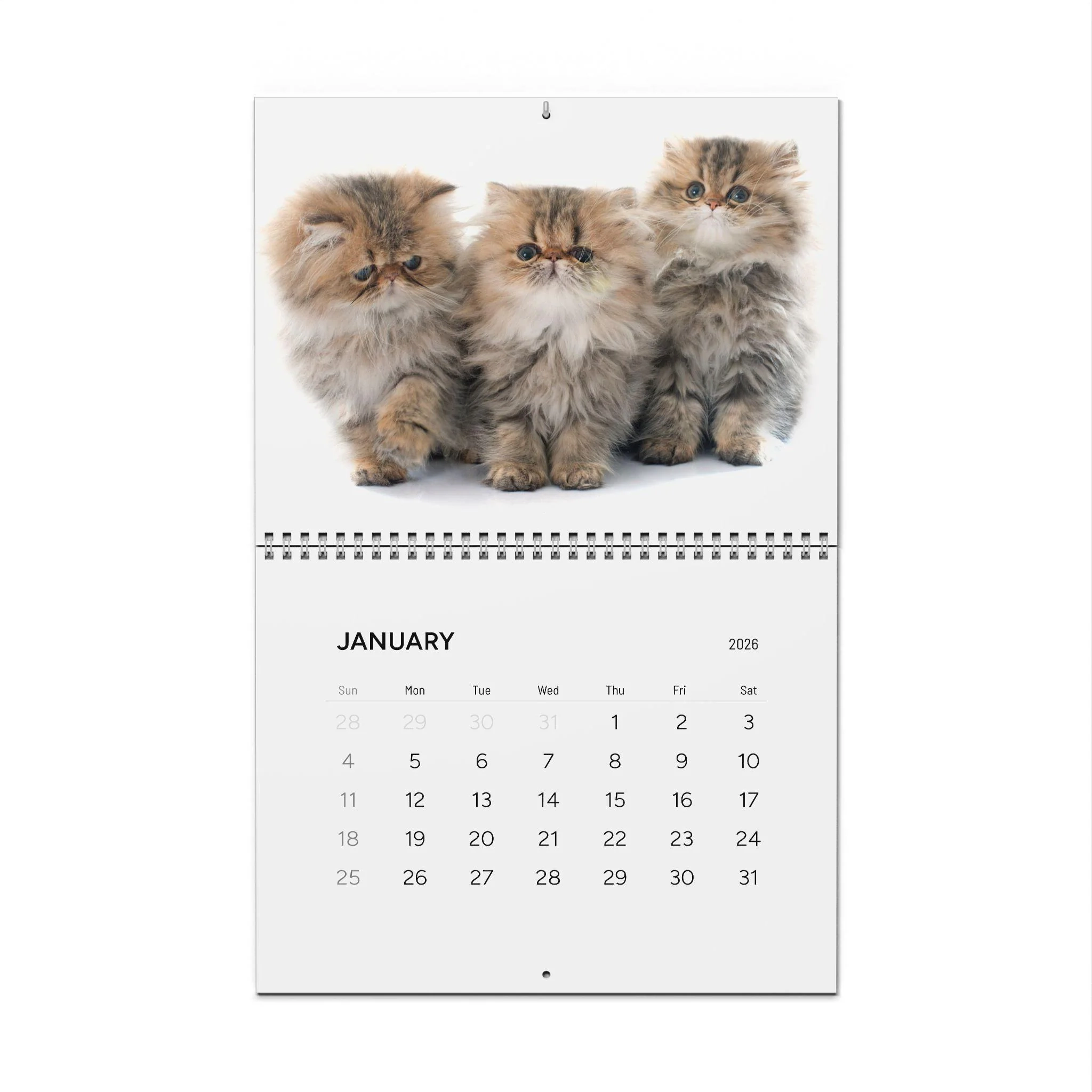 Persian Calendar Etsy UK