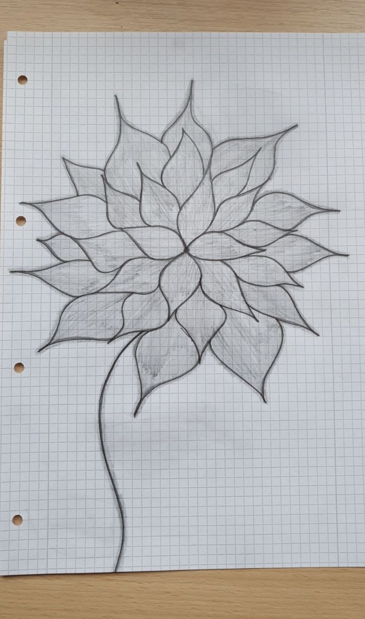 Pin Von Tina Rosa Auf Graph Paper Drawings Kreuzstich Vogel 