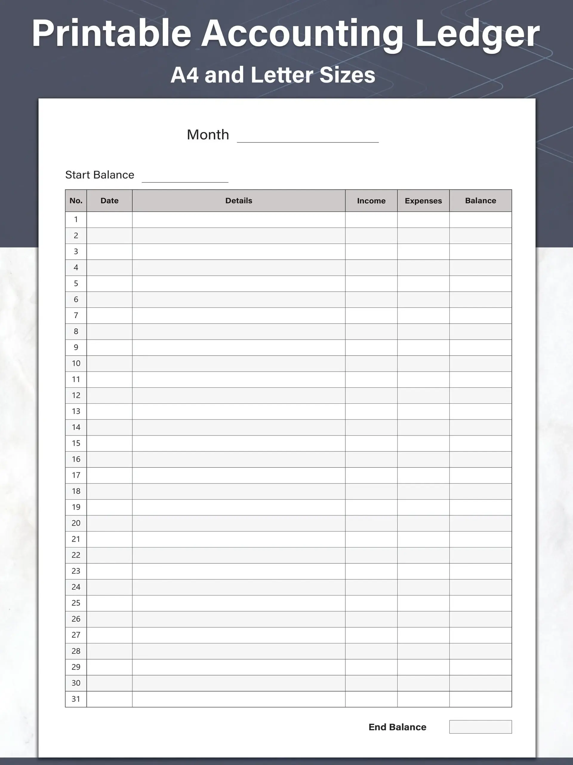 Printable Accounting Ledger PDF Money Tracker And General Ledger 