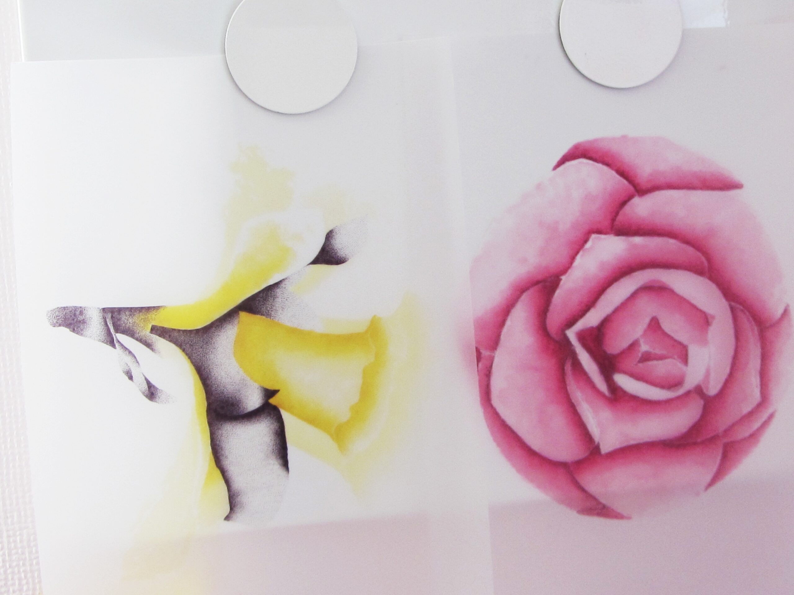 Tracing Paper To Print On