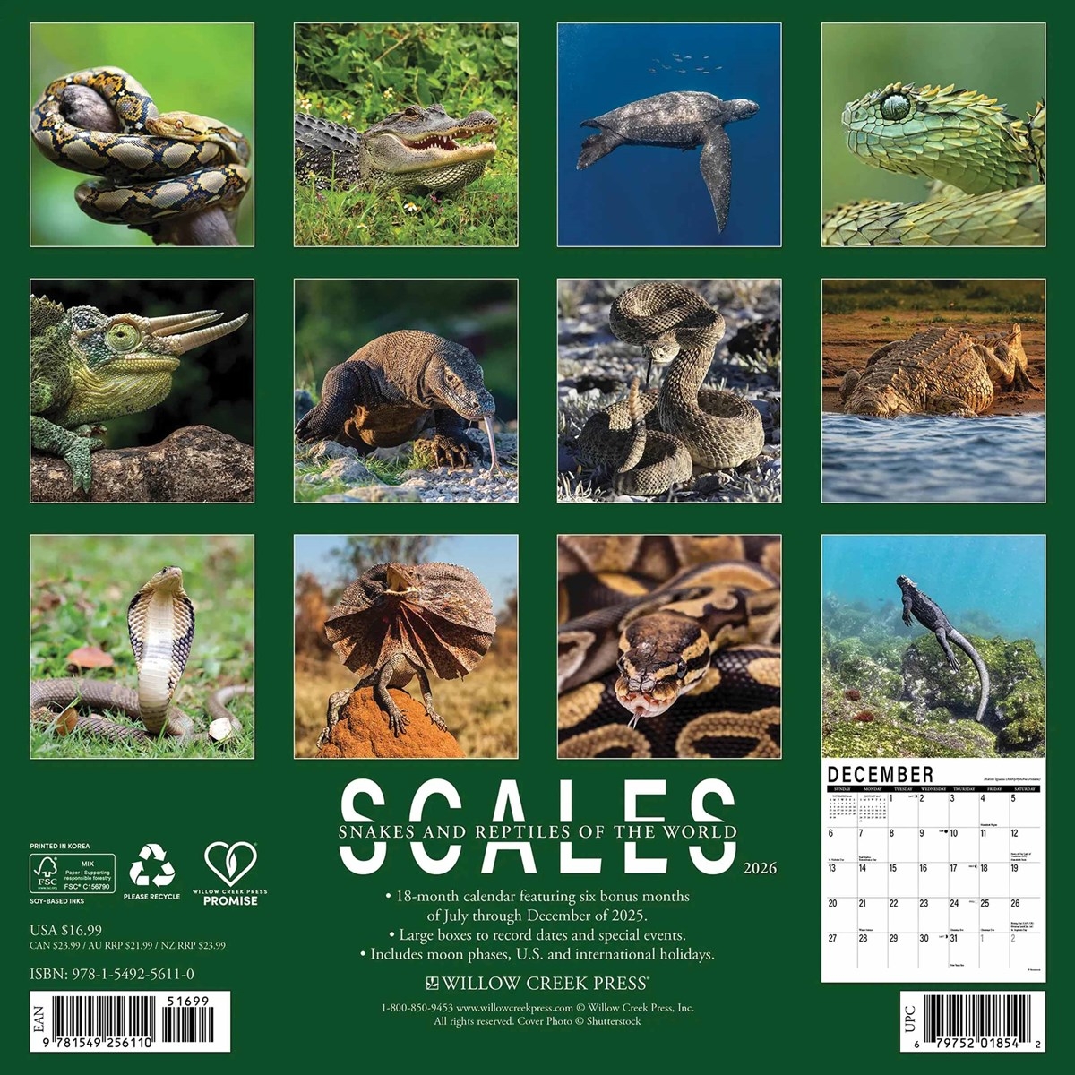 Scales Snakes amp Reptiles Calendar 2026
