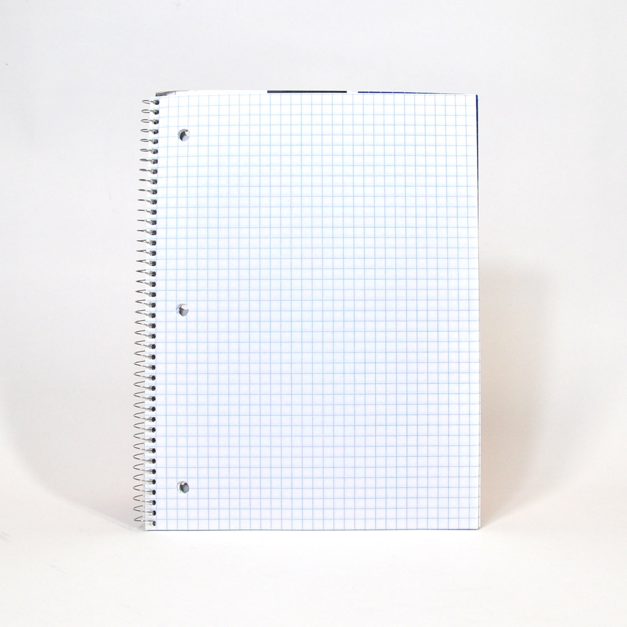 STAPLES Graph Paper Notebook Father Joes Villages