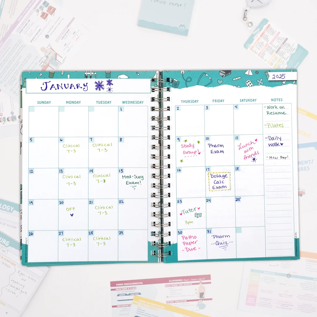The Complete Nursing School Planner NurseInTheMaking
