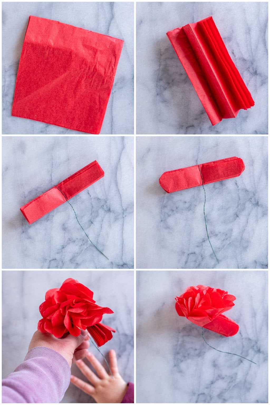 Tissue Paper Roses Sprouting Wild Ones