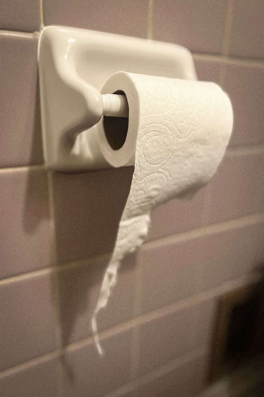 Toilet Paper No tear A Charmin senior Scientist Confirms My 