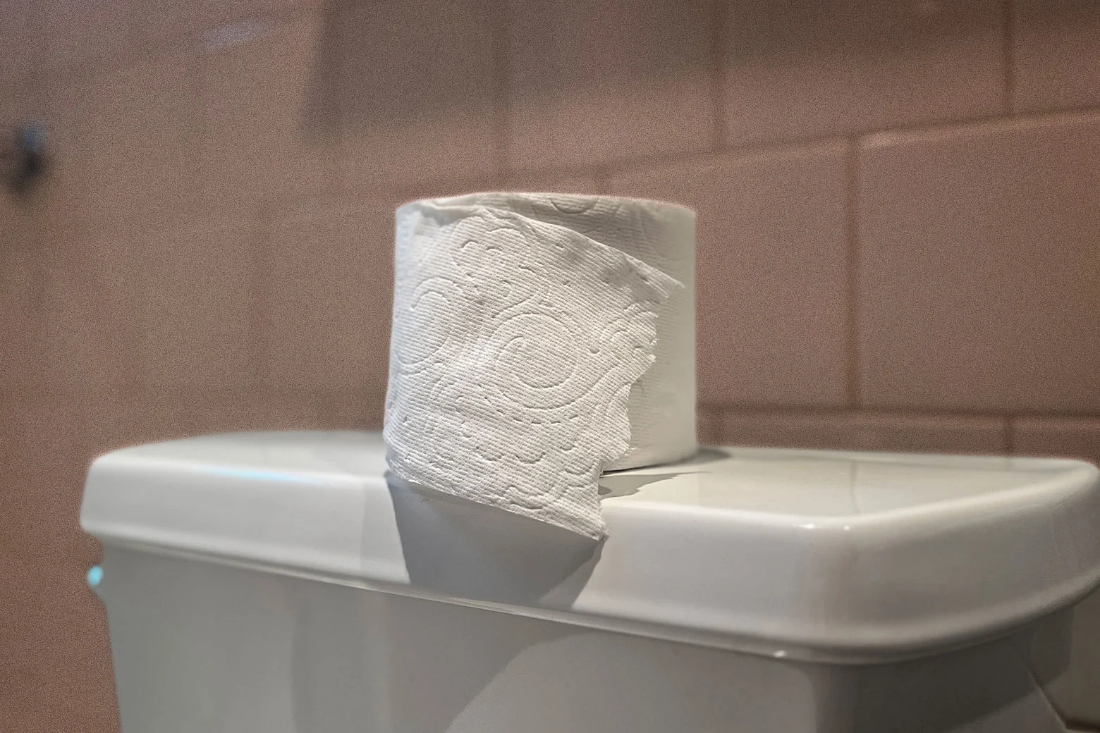 Toilet Paper No tear A Charmin senior Scientist Confirms My 