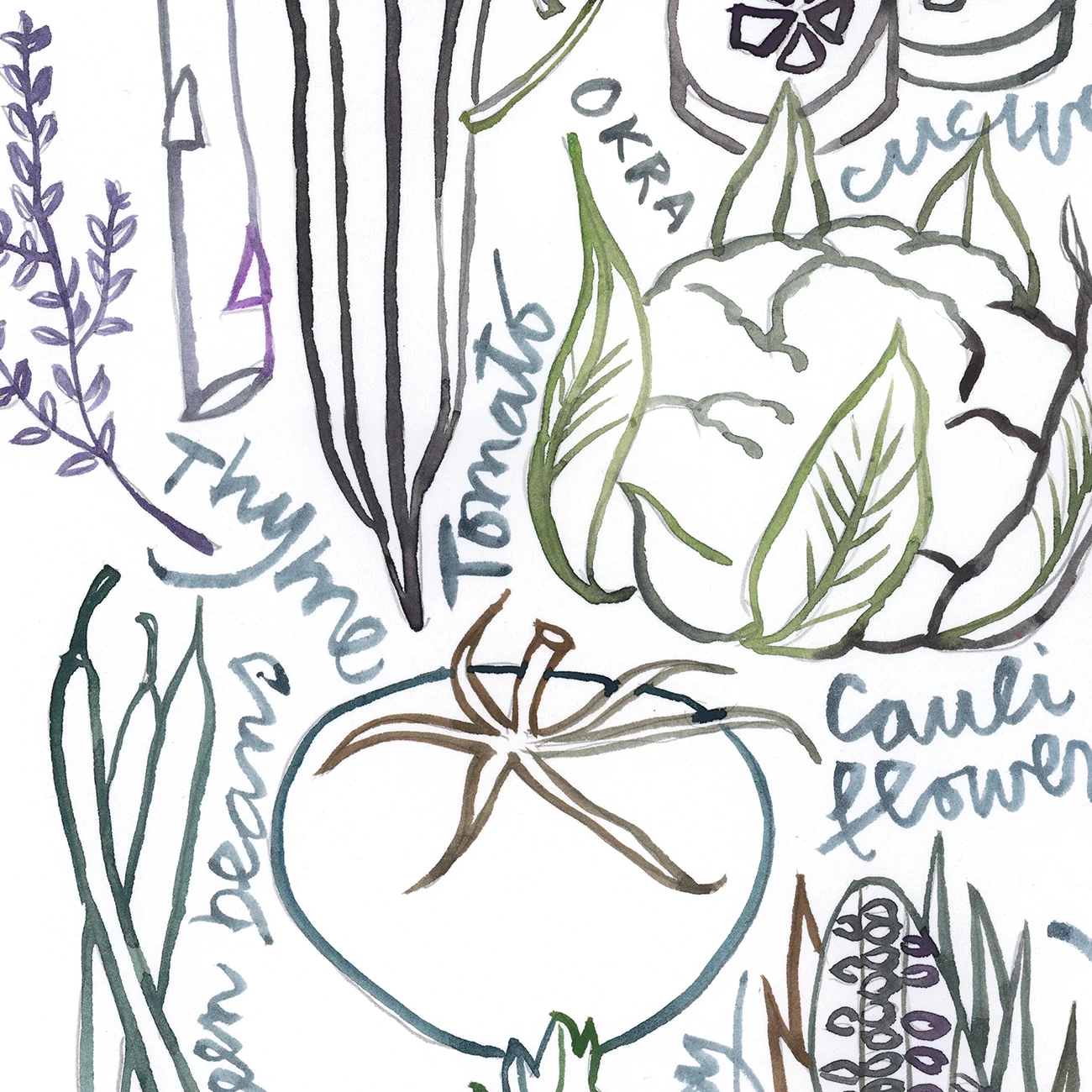 Watercolor Summer Vegetables Line Art Print Neutral Colors 